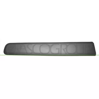 Baguette et bande protectrice, porte avant droit PRASCO FT1241413