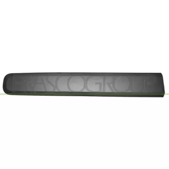 Baguette et bande protectrice, porte avant gauche PRASCO FT1241414