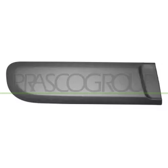 Baguette et bande protectrice, porte arrière droit PRASCO FT1241453