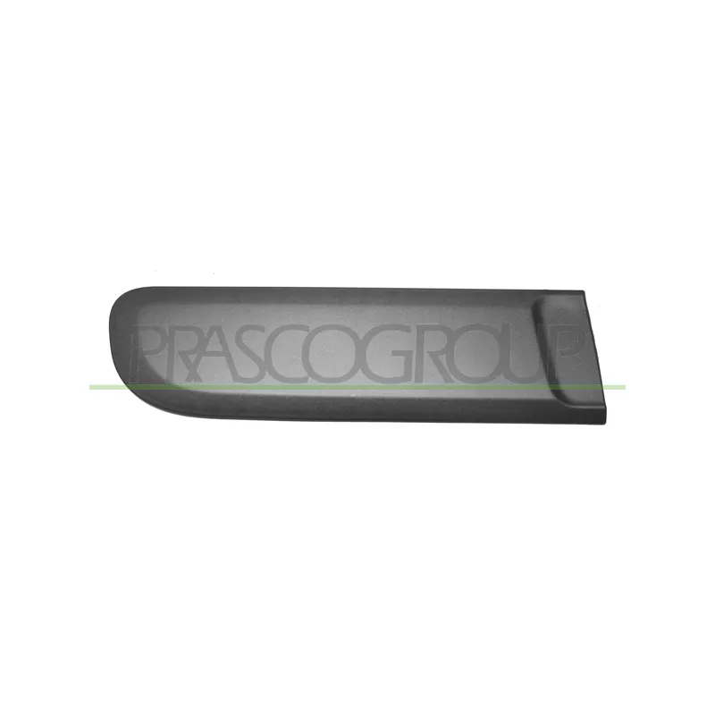 Baguette et bande protectrice, porte arrière droit PRASCO FT1241453