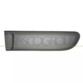 Baguette et bande protectrice, porte arrière gauche PRASCO FT1241454