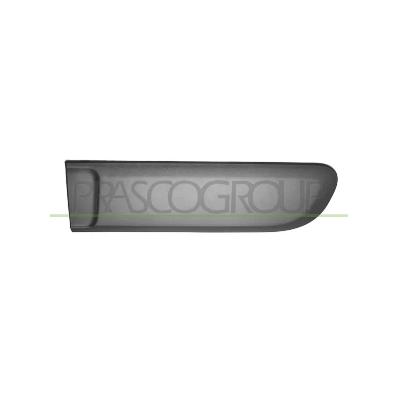Baguette et bande protectrice, porte arrière gauche PRASCO FT1241454