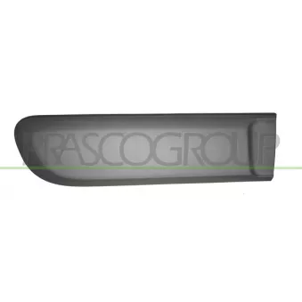 Baguette et bande protectrice, porte arrière droit PRASCO FT1241463