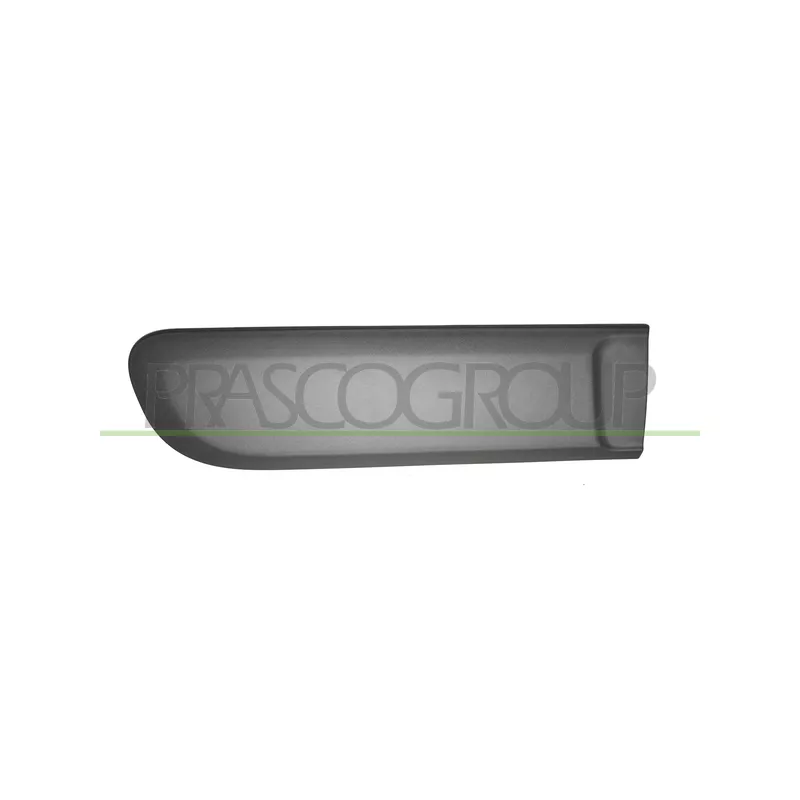 Baguette et bande protectrice, porte arrière droit PRASCO FT1241463