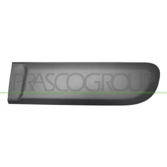 Baguette et bande protectrice, porte arrière gauche PRASCO FT1241464