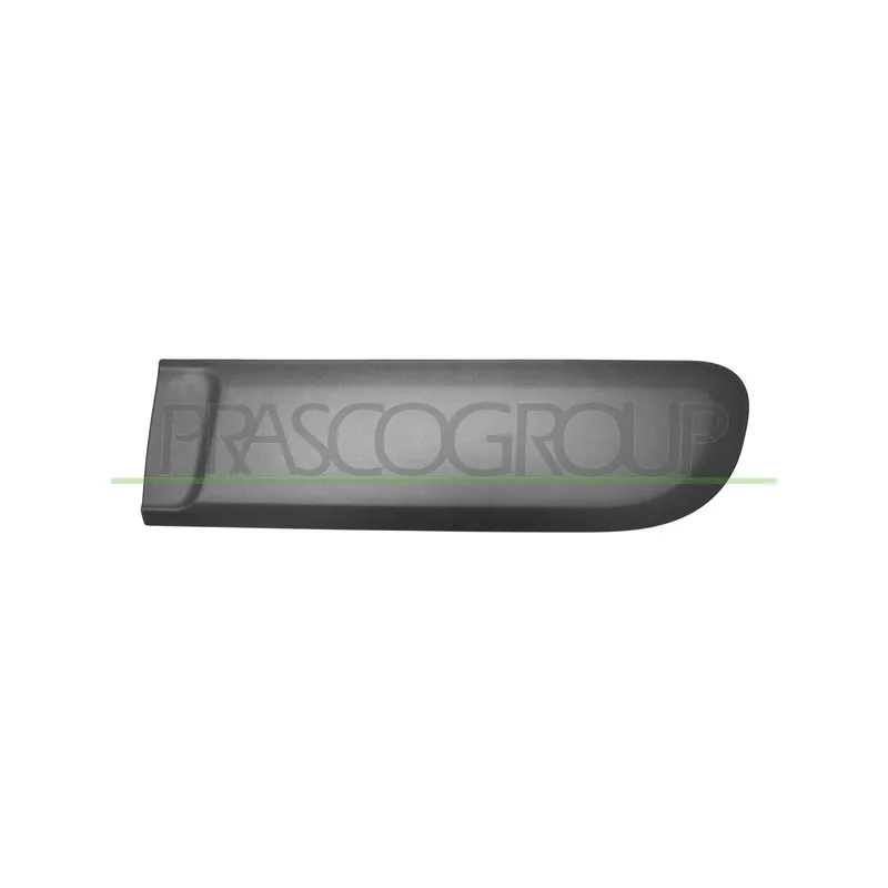 Baguette et bande protectrice, porte arrière gauche PRASCO FT1241464