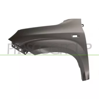 Aile avant gauche PRASCO FT1243014