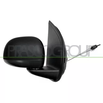 Rétroviseur extérieur PRASCO FT1247003