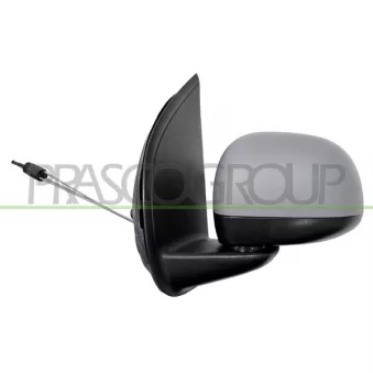 Rétroviseur extérieur PRASCO FT1247014