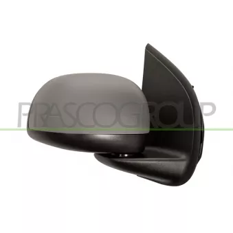 Rétroviseur extérieur PRASCO FT1247113