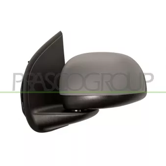 Rétroviseur extérieur PRASCO FT1247114
