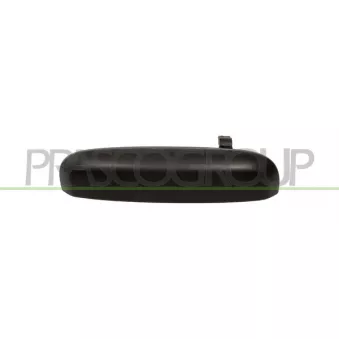 Poignée extérieure de porte avant droit PRASCO FT1248203