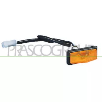 Feu clignotant PRASCO FT1274039