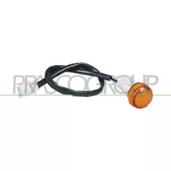 Feu clignotant PRASCO FT1294039