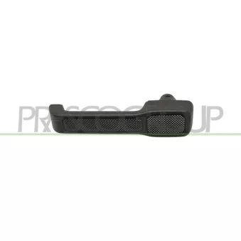 Poignée extérieure de porte arrière droit PRASCO FT1298111