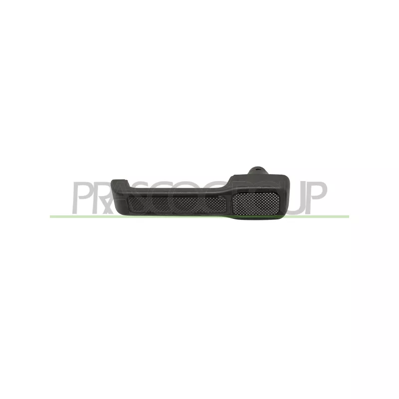 Poignée extérieure de porte arrière droit PRASCO FT1298111