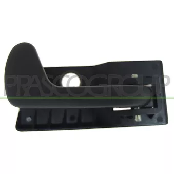 Poignet de porte, équipment intérieur avant droit PRASCO FT1328401