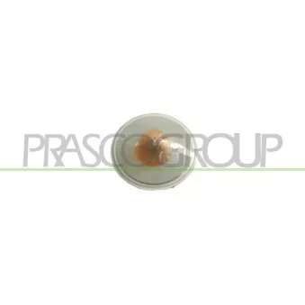 Feu clignotant PRASCO