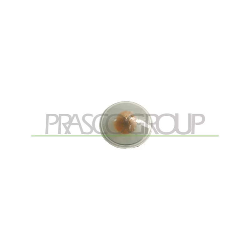 Feu clignotant PRASCO FT1334139