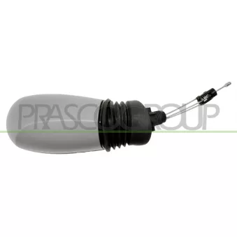Rétroviseur extérieur PRASCO FT1337124