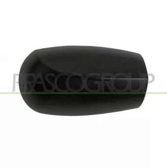 Revêtement, rétroviseur extérieur PRASCO FT1337403