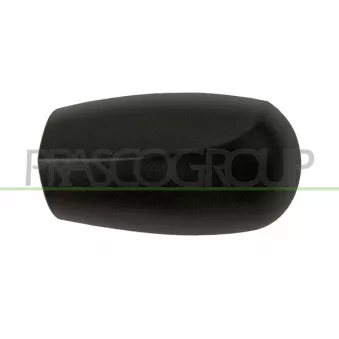 Revêtement, rétroviseur extérieur PRASCO FT1337404