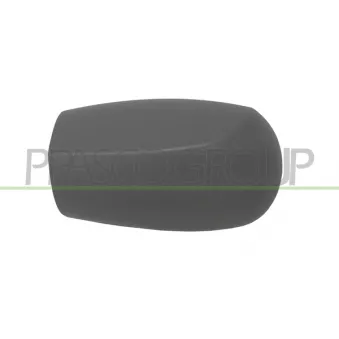 Revêtement, rétroviseur extérieur PRASCO FT1337414