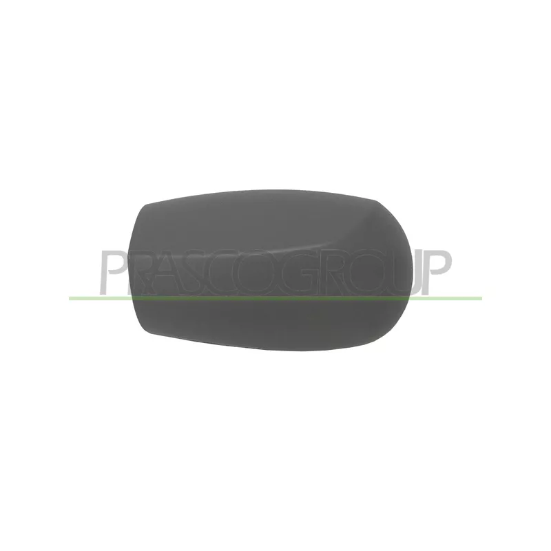 Revêtement, rétroviseur extérieur PRASCO FT1337414