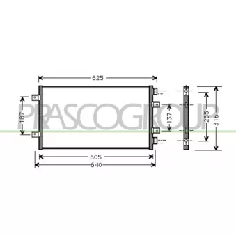 Condenseur, climatisation PRASCO FT133C004