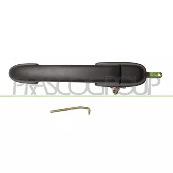 Poignée extérieure de porte arrière droit PRASCO FT1378101