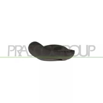 Poignet de porte, équipment intérieur avant droit PRASCO FT1378601