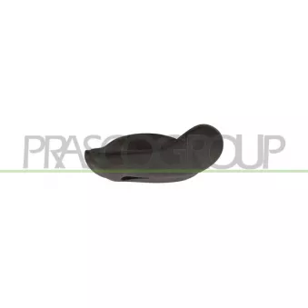 Poignet de porte, équipment intérieur avant gauche PRASCO FT1378602