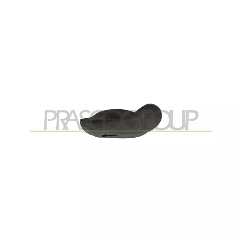 Poignet de porte, équipment intérieur avant gauche PRASCO FT1378602