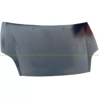 Capot-moteur PRASCO FT1383100