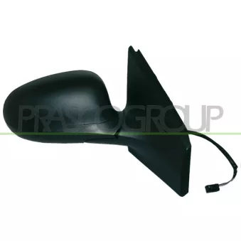 Rétroviseur extérieur PRASCO FT1387303P