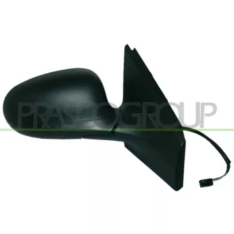 Rétroviseur extérieur PRASCO FT1387313P