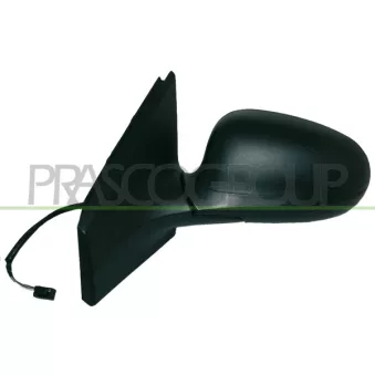 Rétroviseur extérieur PRASCO FT1387314P