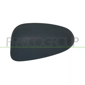 Revêtement, rétroviseur extérieur PRASCO FT1387404