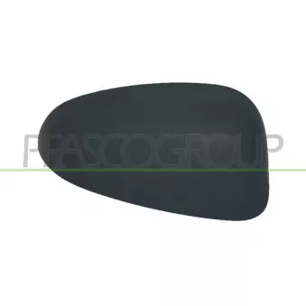Revêtement, rétroviseur extérieur PRASCO FT1387413