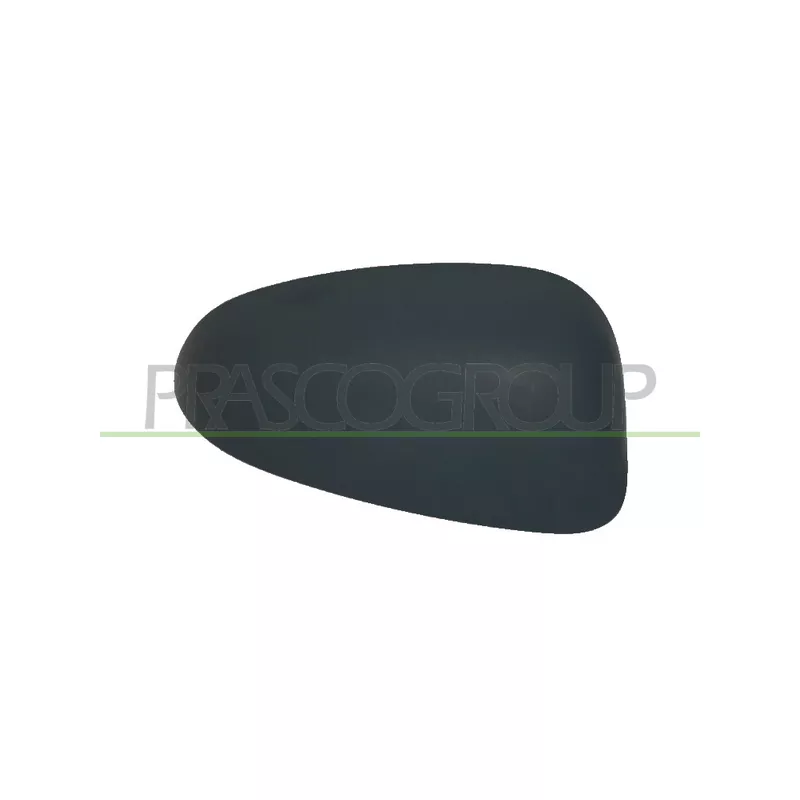 Revêtement, rétroviseur extérieur PRASCO FT1387413