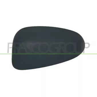 Revêtement, rétroviseur extérieur PRASCO FT1387414