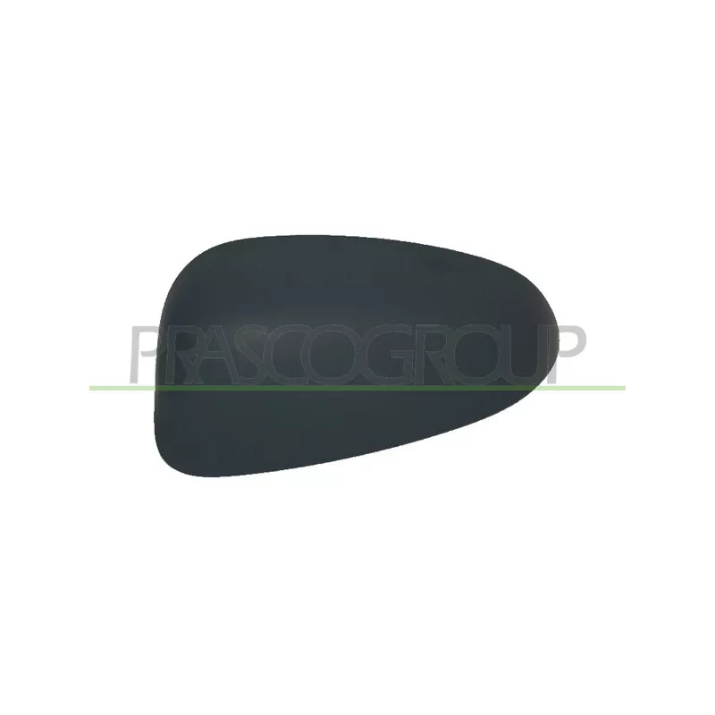 Revêtement, rétroviseur extérieur PRASCO FT1387414