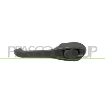 Poignée extérieure de porte arrière droit PRASCO FT1478111
