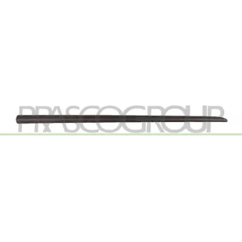 Baguette et bande protectrice, porte avant droit PRASCO FT3421403