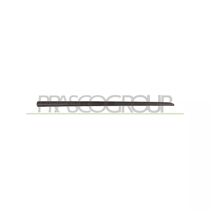 Baguette et bande protectrice, porte avant droit PRASCO FT3421403
