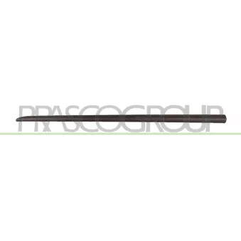 Baguette et bande protectrice, porte avant gauche PRASCO FT3421404