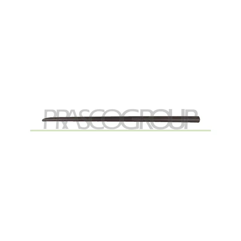 Baguette et bande protectrice, porte avant gauche PRASCO FT3421404