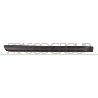 Baguette et bande protectrice, porte arrière droit PRASCO FT3421453