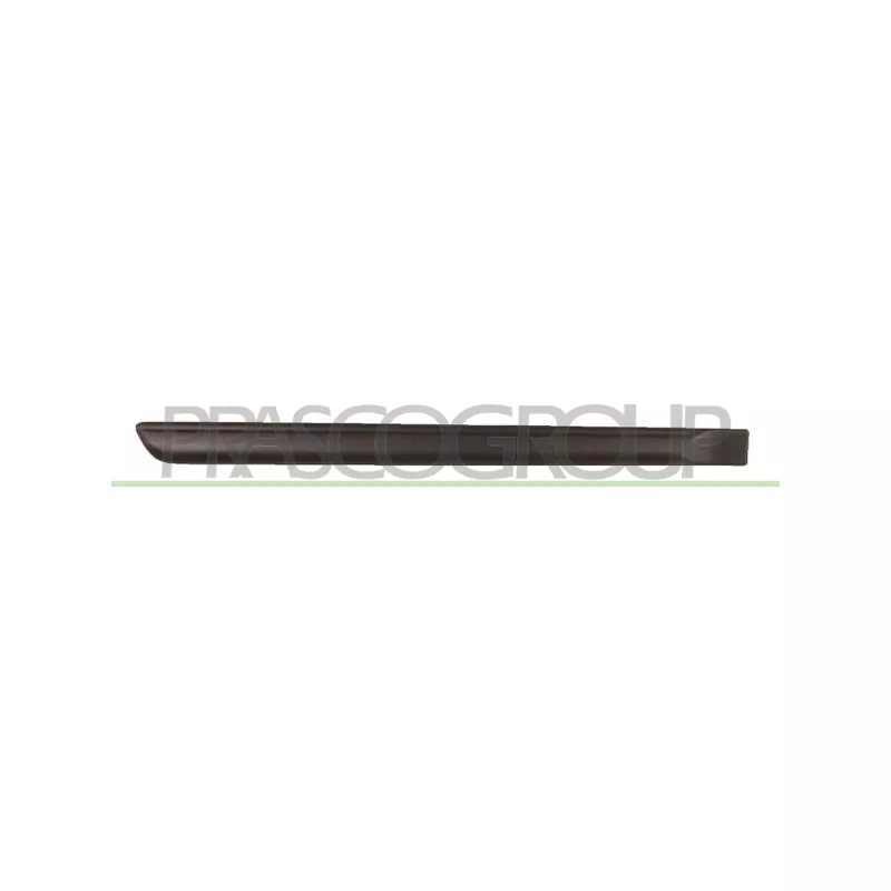 Baguette et bande protectrice, porte arrière droit PRASCO FT3421453
