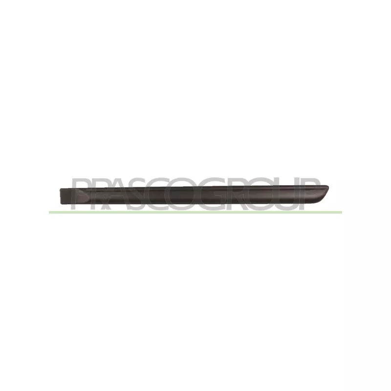 Baguette et bande protectrice, porte arrière gauche PRASCO FT3421454
